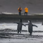 BLUESUN TRAVEL LAUNCHES INTO ANTARCTICA
