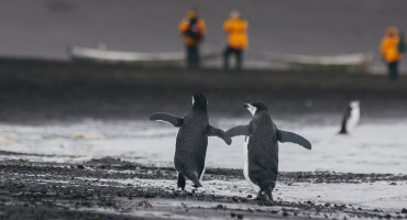 BLUESUN TRAVEL LAUNCHES INTO ANTARCTICA