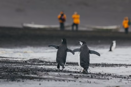 BLUESUN TRAVEL LAUNCHES INTO ANTARCTICA