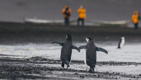 BLUESUN TRAVEL LAUNCHES INTO ANTARCTICA