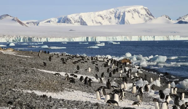 Ocean-cruise-Brown-Bluff-Northern-Coast-of-Weddell-Sea