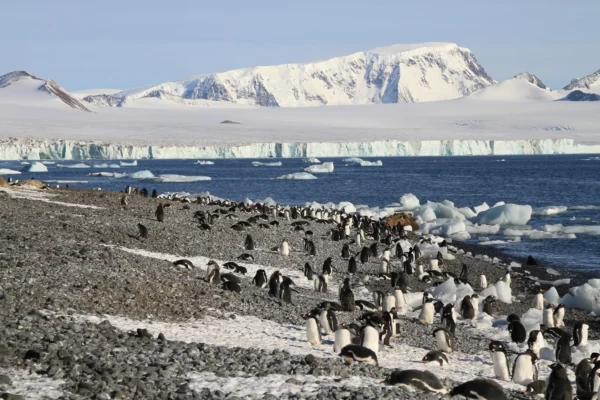 Ocean-cruise-Brown-Bluff-Northern-Coast-of-Weddell-Sea