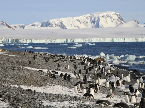 Ocean-cruise-Brown-Bluff-Northern-Coast-of-Weddell-Sea