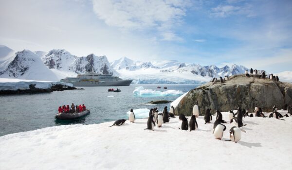 SSC_EV_ZO_Antarctica_Peninsula_Penguins_04275