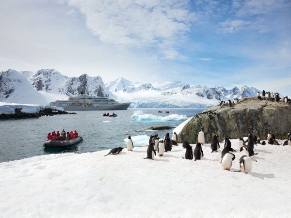 SSC_EV_ZO_Antarctica_Peninsula_Penguins_04275