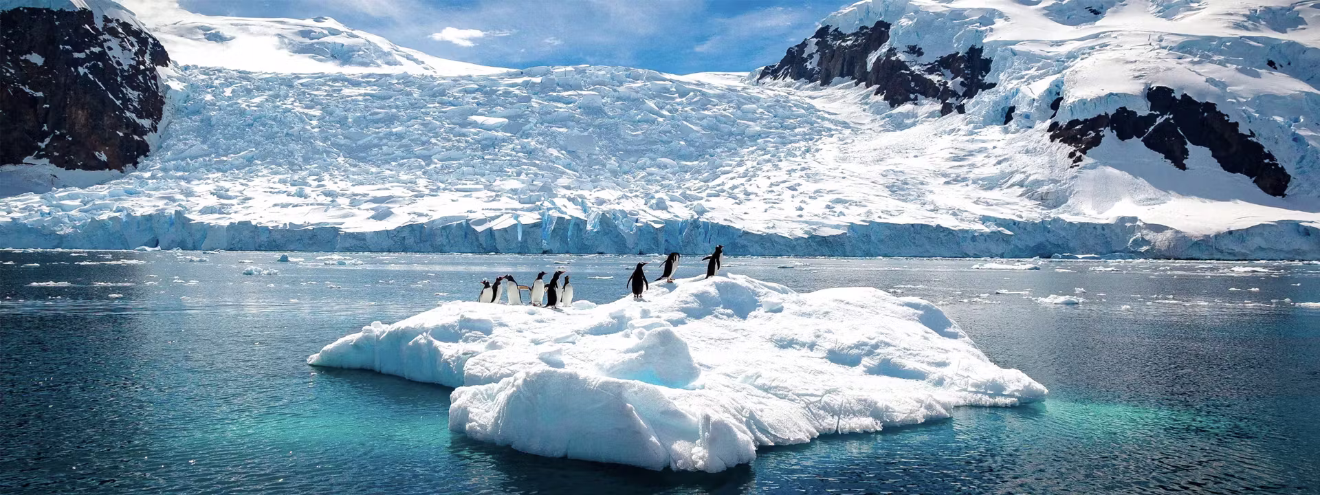 WILDLIFE-IN-ANTARCTICA-PENGUINS-ON-ICEBERG-slider