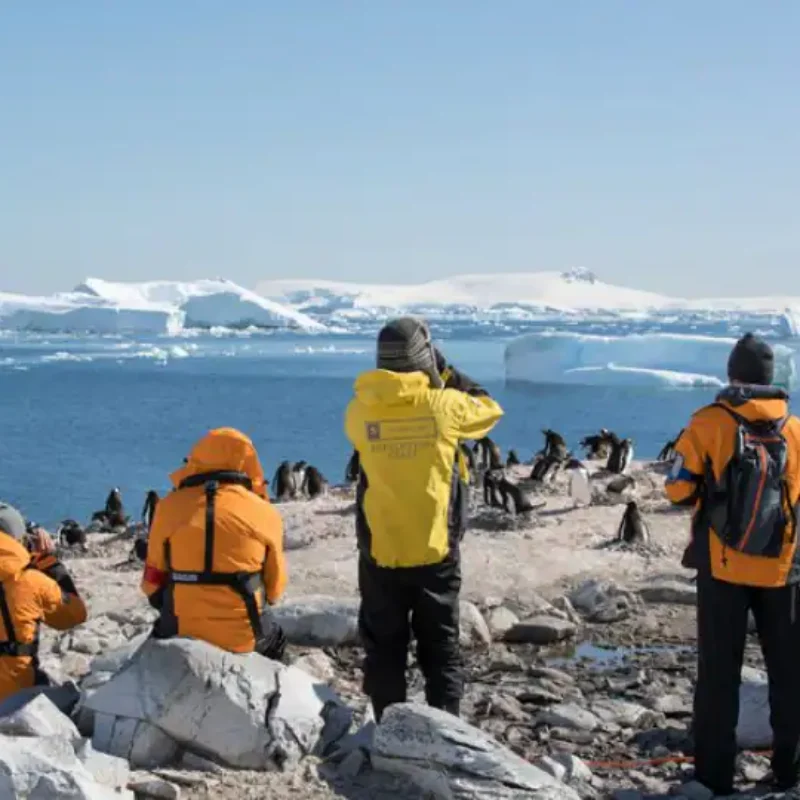 dest-antarctica-experience-team-v1-648x488-181227.jpg.image.720.540.high