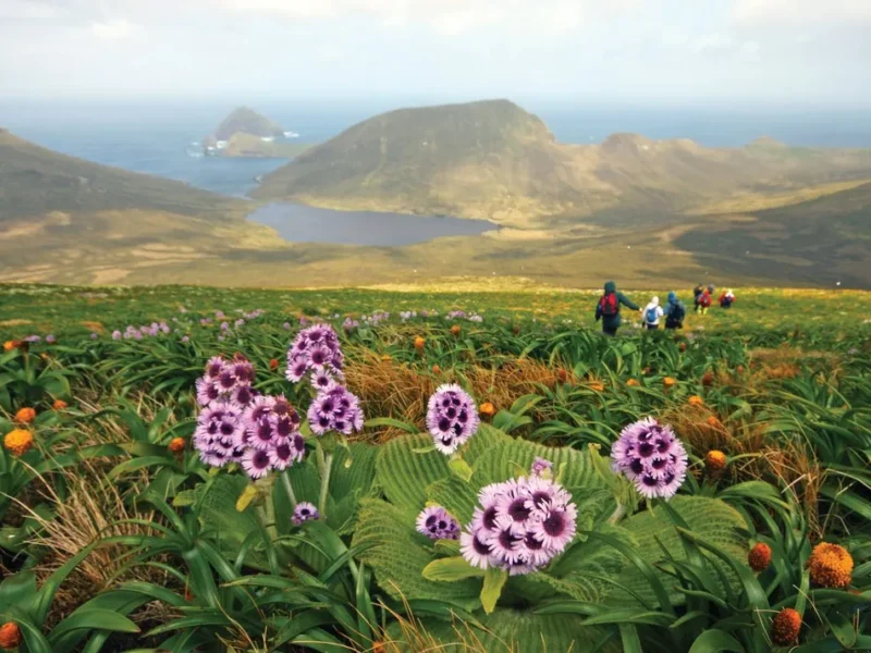 Heritage_Adventurer_cruise_Mount_Honey_Campbell_Island